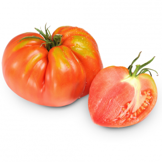 Tomate frais bio